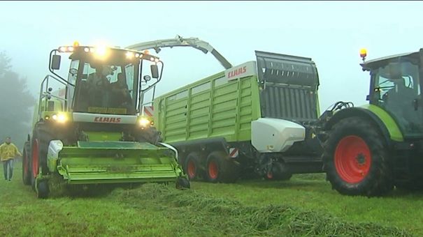 Libramont. Démonstrations à la Journée de l'herbe