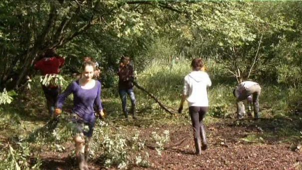 Dohan. Des jeunes réhabilitent les étangs du Grand Vivi