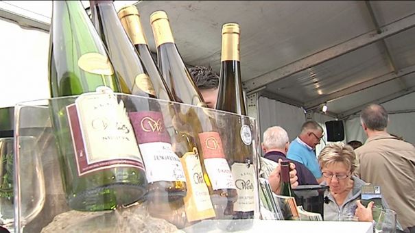 Déguster les vins d'Alsace à Bourdon 