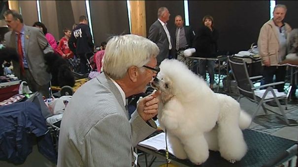 Le Green Dog Show à Libramont