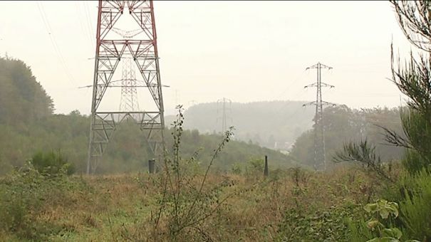 Martelange: concilier électricité et biodiversité