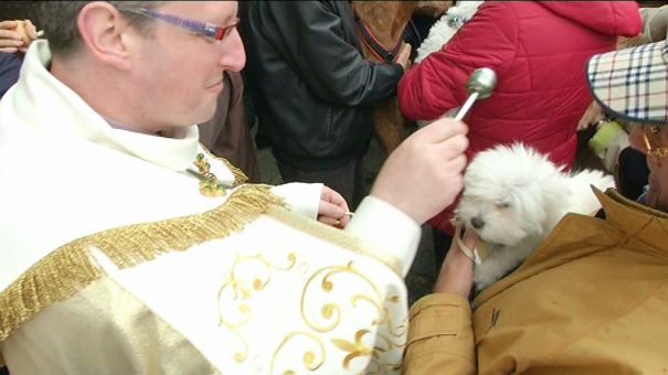 Saint-Hubert. Bénédiction des animaux