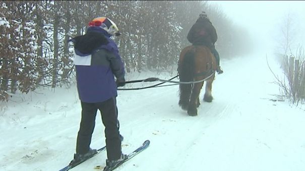 Saint-Hubert : Ski Joëring à Hurtebise