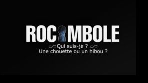 Rocambole : Qui suis-je ? Une chouette ou un hibou ?