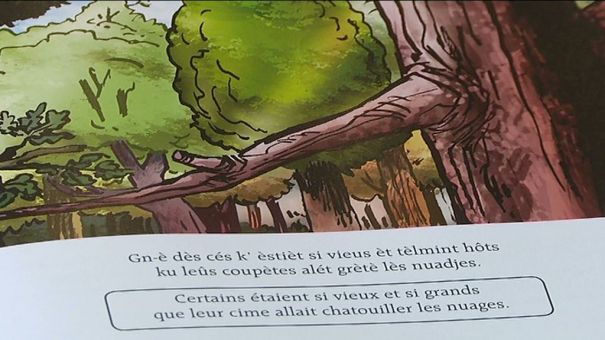 Livre pour enfants en wallon de Neufchâteau