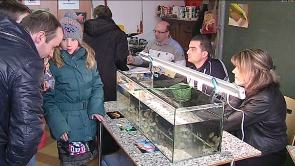 Libramont : bourse aquariophile
