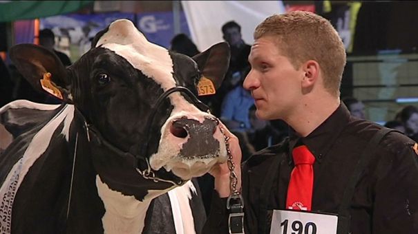 Le grand show pour la 20ème nuit de la Holstein