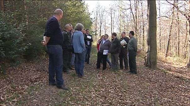 Mieux gérer la forêt wallonne