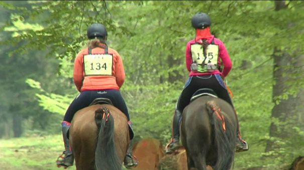 Endurance équestre : championnats nationaux à Mont-le-soie