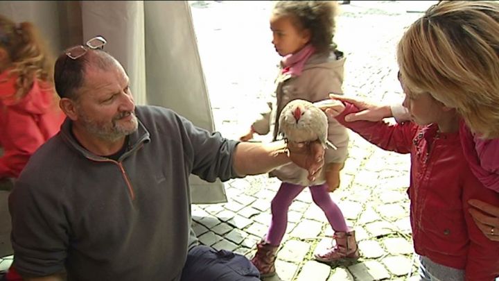 Ce week-end, Arlon s'éveille au chant du coq