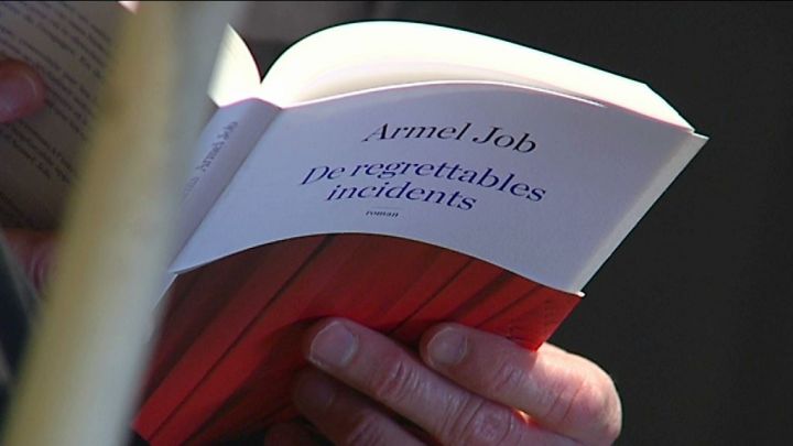 Idée lecture :«De regrettables incidents » d'Armel Job