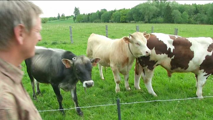 1er week-end de la viande