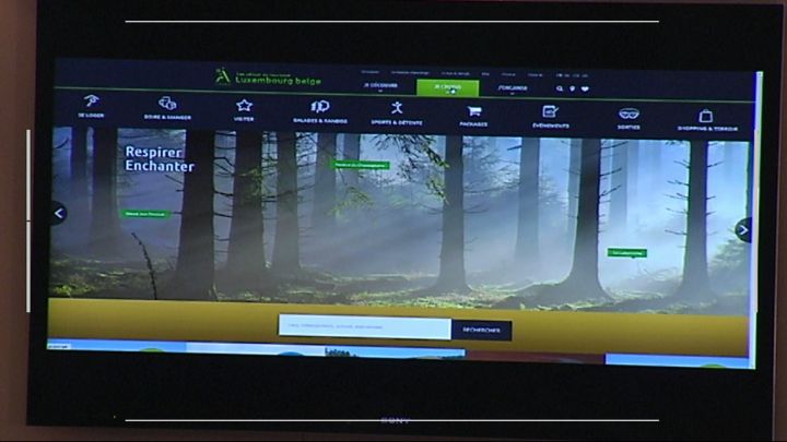 Présentation du nouveau site internet. Conseil Provincial Tourisme (6/9)