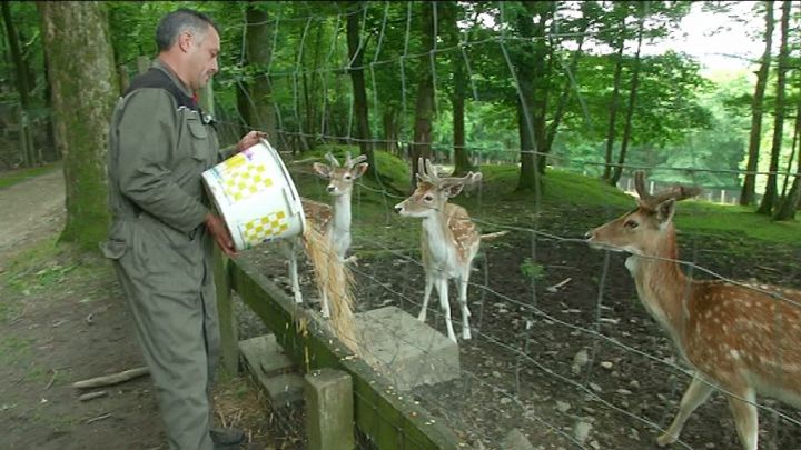 Une semaine à La Roche : découverte du parc à gibier