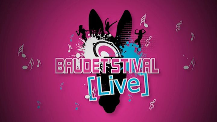 Best of Baudet'Stival 2014 Live -  #7