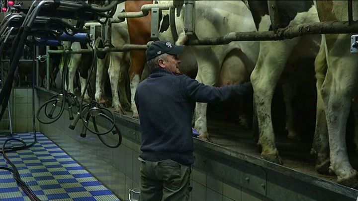 Une semaine à la ferme, Episode 1