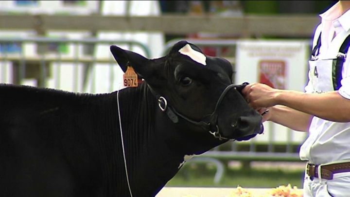 Les concours malgré l'inquiétude
