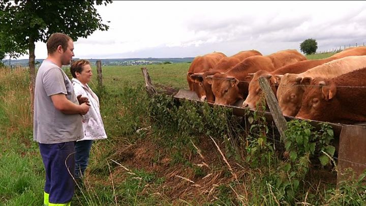 Reprendre la ferme : fin du Feuilleton