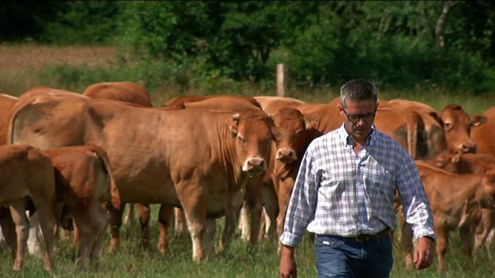 Le boeuf bio wallon au supermarché