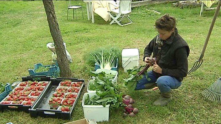 A 27 ans, Manon Bernier se lance dans le maraîchage