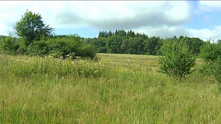 La plus belle prairie est à Dochamps