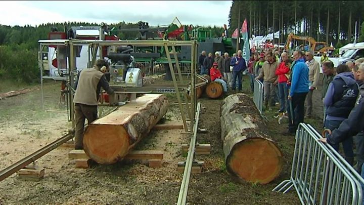 Démonstrations forestières à Bertrix