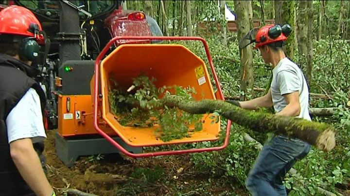 Vente de bois annulée : la marche arrière du DNF