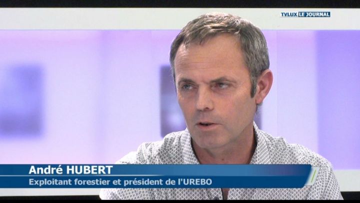 Sud de la Province : les exploitants forestiers refusent les conditions du DNF