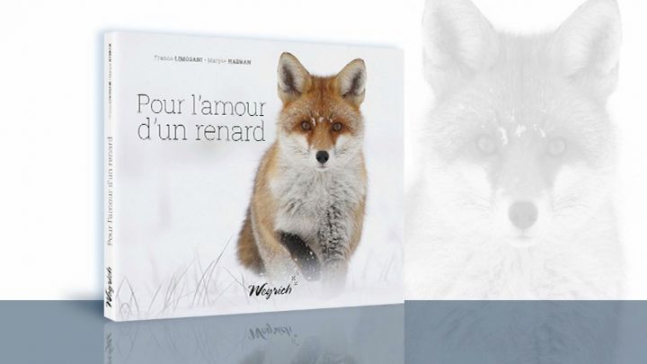 Pour l'amour d'un renard aux éditions Weyrich