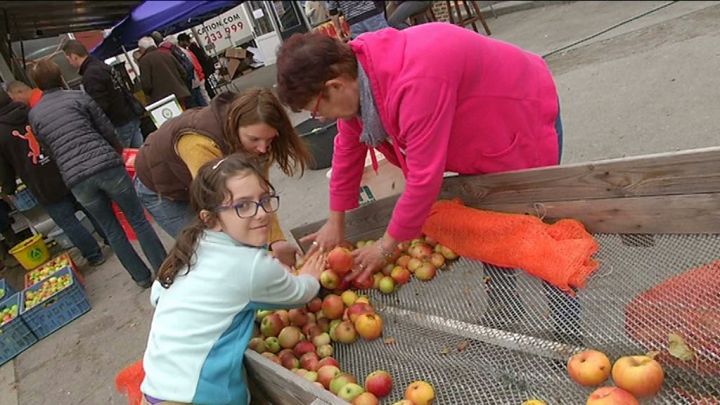 Wéris : on a pressé plus de 10 tonnes de pommes 