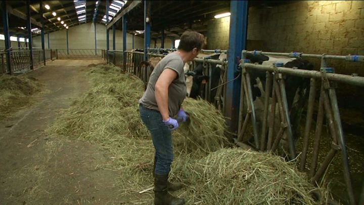 Budget provincial : l'agriculture insuffisamment soutenue ?