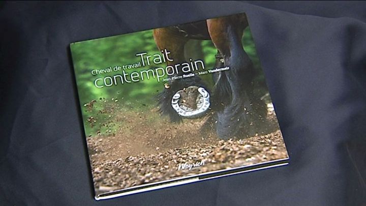 Exposition et livre sur le cheval de trait