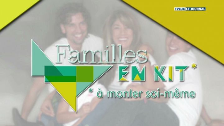Familles en kit un outil pour les encadrants des familles recomposées