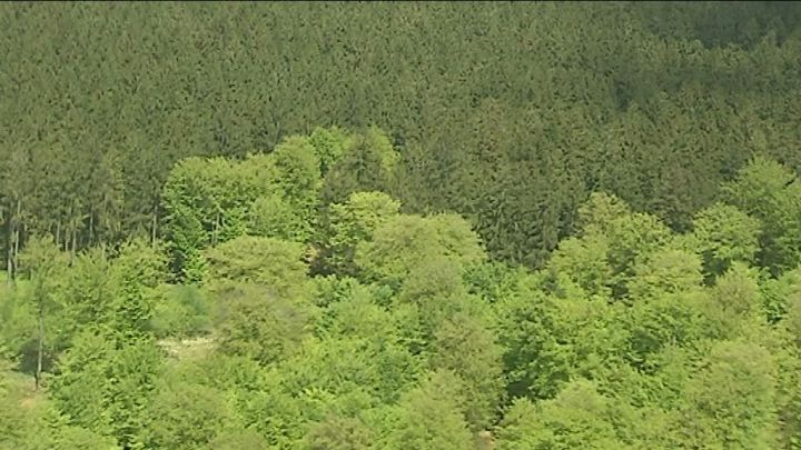 Forêts : des communes ardennaises à l'écoute des exploitants