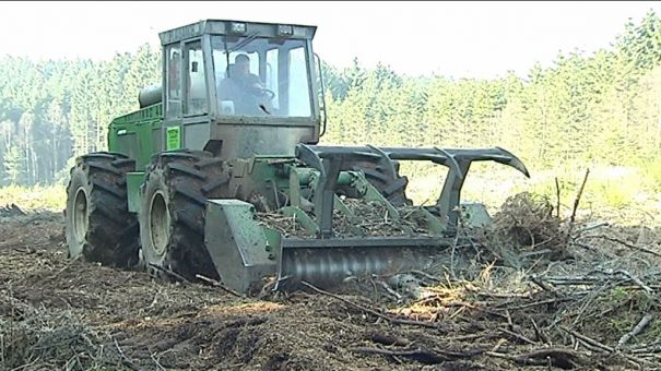 Vielsalm : une aide pour les petits propriétaires forestiers 