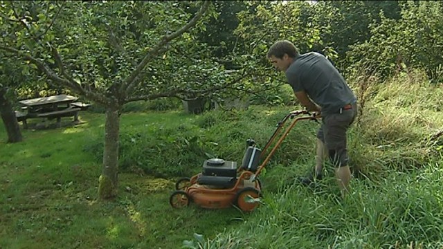 Léglise : une gestion naturelle des parcelles communales