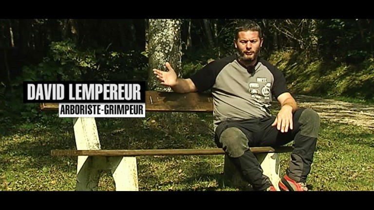 Fabrice Rongvaux et David Lempereur : Arboristes-grimpeurs