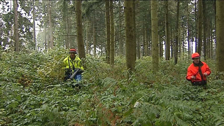 Gouvy. Dans le pas des traqueurs et des chasseurs