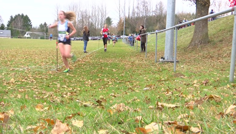 Cross : à Arlon aussi, Dampicourt et Bertrix dominent...