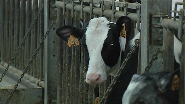 Aider les agriculteurs à se diversifier