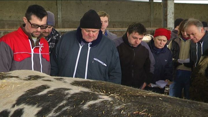 Formation de juges pour concours de BBB