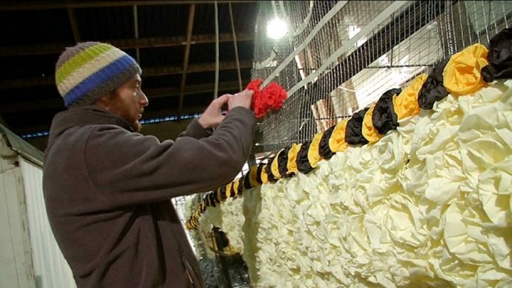 Carnaval de Florenville: les chars fleurissent