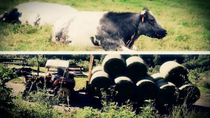 Au chant du coq sur TVLux