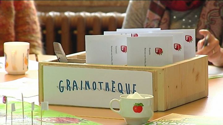 Des grainothèques dans nos bibliothèques