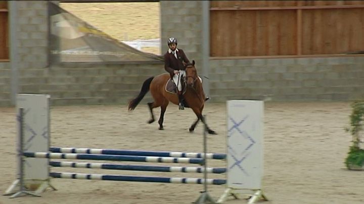 SPORTS EQUESTRES : Finale du Challenge hivernal à HATRIVAL