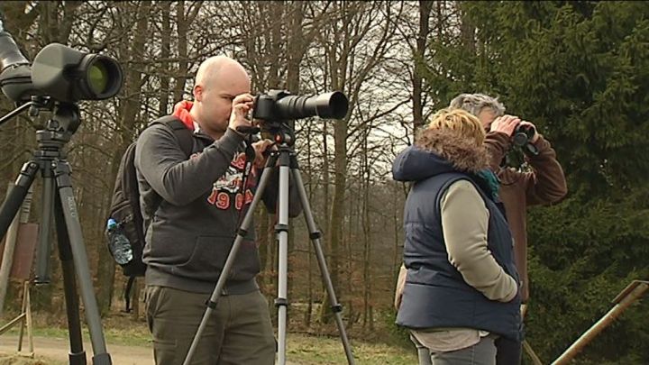 Rencontre entre photographes et ornithologues à Saint-Hubert