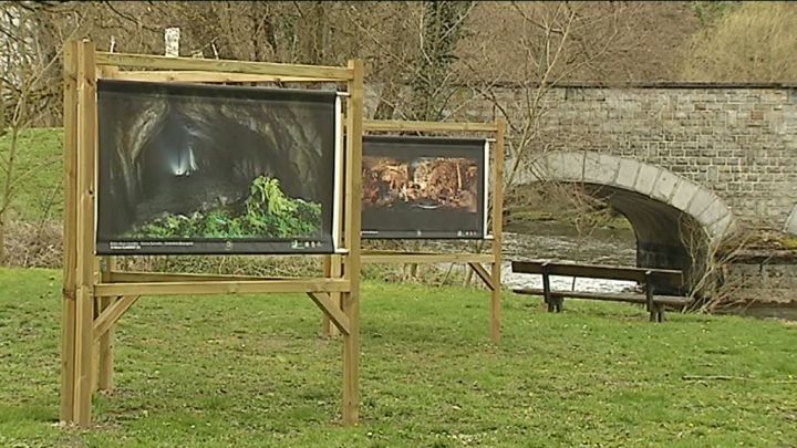 la Grande Forêt de Saint-Hubert s'expose dans neuf communes