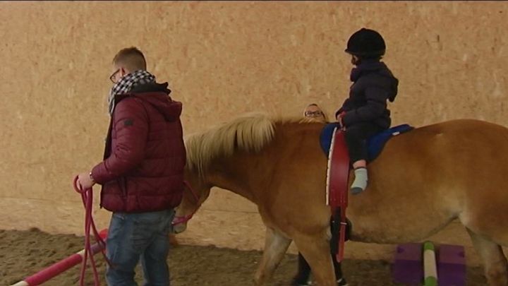 Soigner grâce aux chevaux