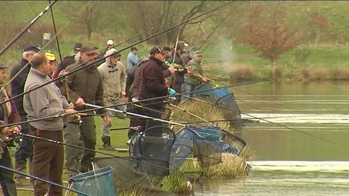 Pêche : les 1000 truites de Cherapont à Gouvy