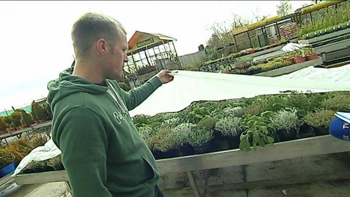 L'hiver au printemps! Dur dur pour les pépiniéristes...